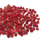 Dried Flowers Red Globe Amaranth Gomphrena Globosa 220 Pcs Bulk for Crafts DIY Dried Flower