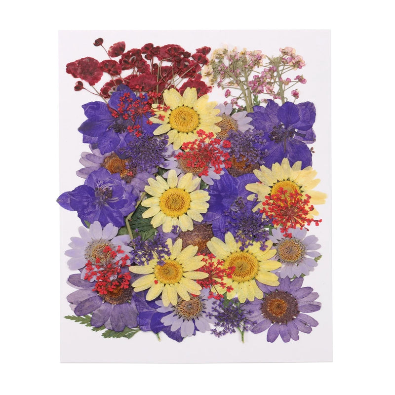 40 Pcs Dried Pressed Flower Leaves Bulk for Resin, Yellow Purple Dried Flower