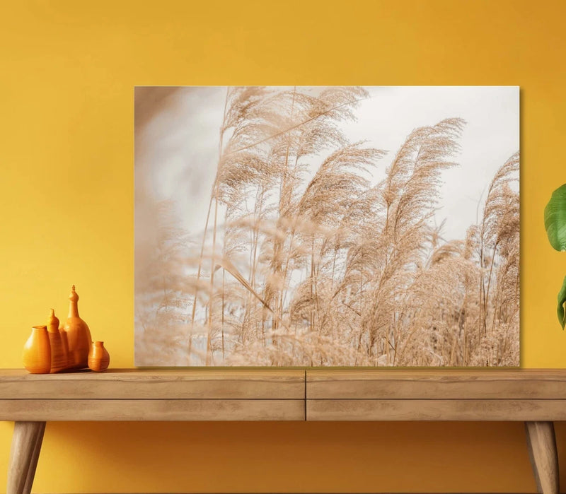 A Field of Dried Pampas Grass 5mm thick Plastic Poster Ready to Hang 60x45cm Pampas Grass