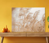 A Field of Dried Pampas Grass 5mm thick Plastic Poster Ready to Hang 60x45cm Pampas Grass