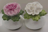 Aynsley English Fine Bone China Carnation Salt & Pepper Shakers Carnation