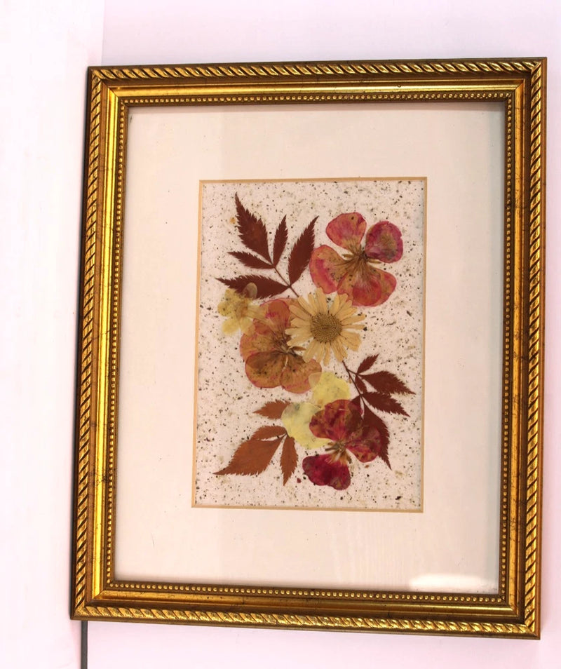 Gold-framed pressed dried flower botanical wall art with off-white mat and flower collage