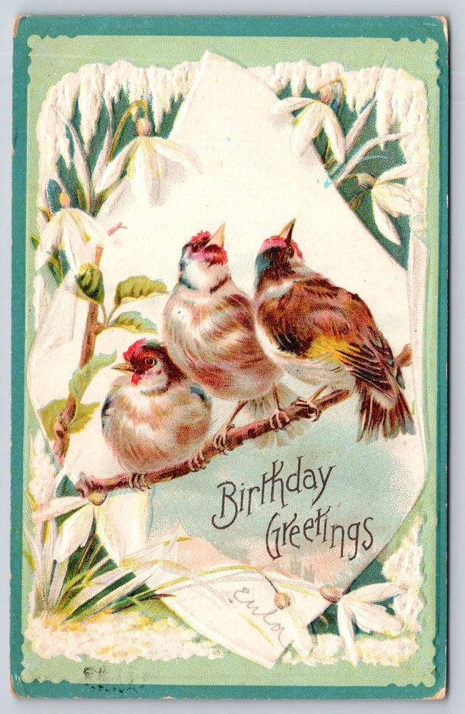 Flower Greetings~3 Finches On Winter Twig~Snowdrop Lilies~c1910 Vintage Postcard Lily