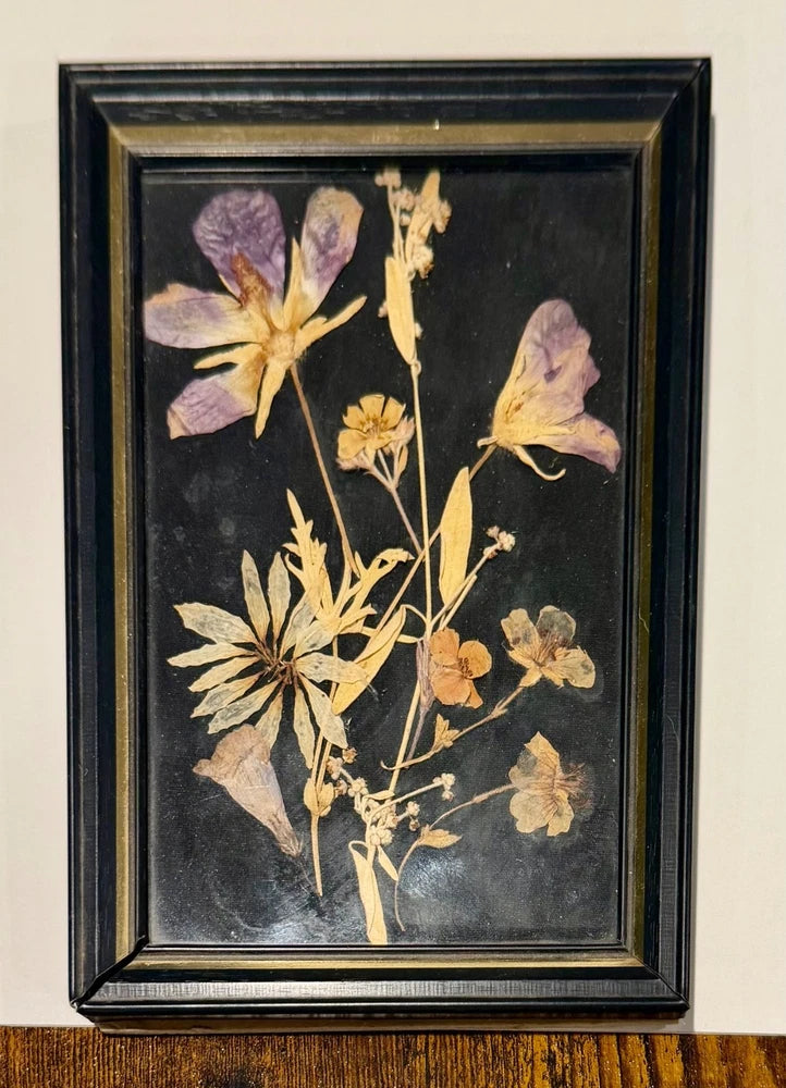 Framed dried pressed flowers wall art, gold blooms on dark background; black-and-gold metal frame