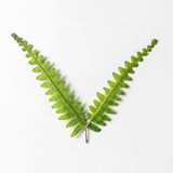 M&T 12PCS Real Pressed Dry leaf with stem for art, candle, handcraft FSS28 Dried Flower
