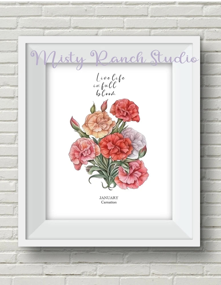 Framed January carnation art print with pink flowers and soft floral illustration