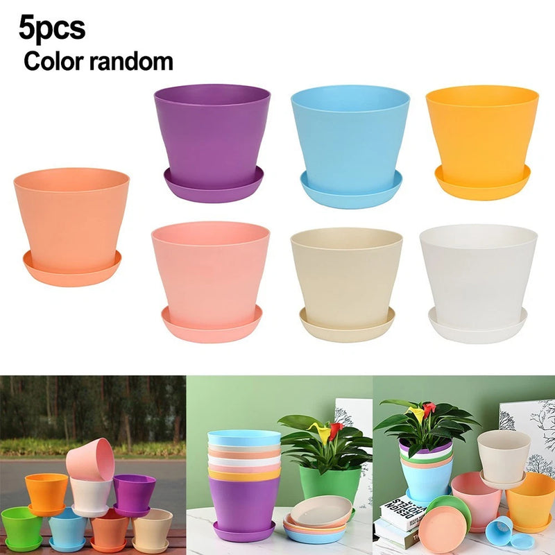 Brighten Up Your Garden with a Set of 5 Colourful Small Plastic Flower Pots Garden Plants