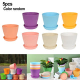Brighten Up Your Garden with a Set of 5 Colourful Small Plastic Flower Pots Garden Plants