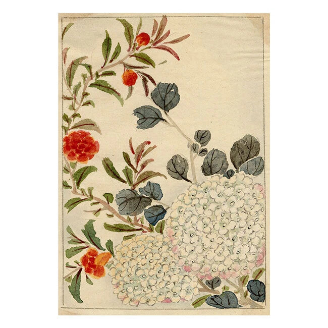Chinese Hydrangea Flower Watercolour Painting Mid 19th Century Original Hydrangea