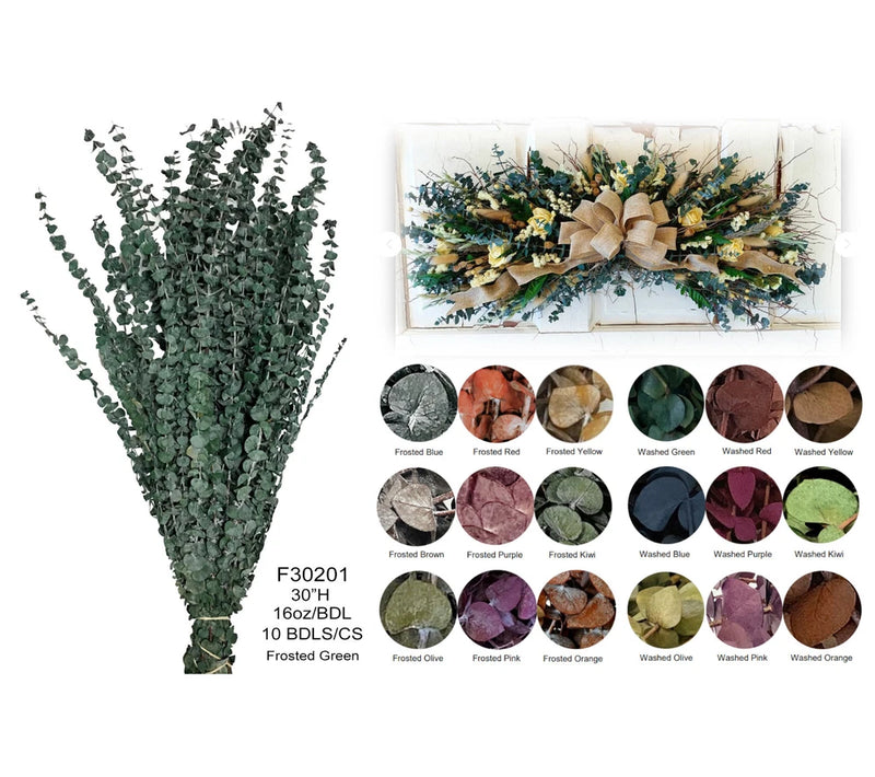Dried baby eucalyptus branches: dark green bunch with color swatch circles