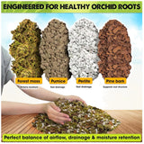 Orchid Potting Mix with Pumice & Perlite Natural Ingredients Orchids