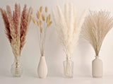 Pampas Grass Decor Including pompas Floral Reed Dried  Flowers Boho home 65PCS Pampas Grass