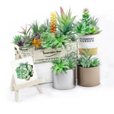Artificial Succulent Plants Faux Assorted- 16 pc Unpotted Faux Succulent Plants Green Plant