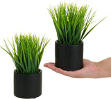 Artificial Grass Fake Plant in Modern Round Black Cement Pots, Pack of 2 Green Plant
