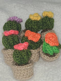 Mini Cactus And Succulents! Handmade Crochet Mini Plants! 2" To 2.5" Tall Green Plant