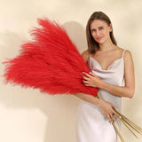 Wertuirk Red Pampas Grass Decor - 45" (Set of 8) Artificial Large Pampas Pampas Grass