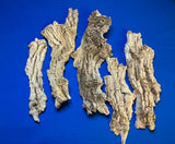 Orchid Air Plant Succulent Bark Mount  Pre-Wired Mixed Sizes 5 Pieces Orchids