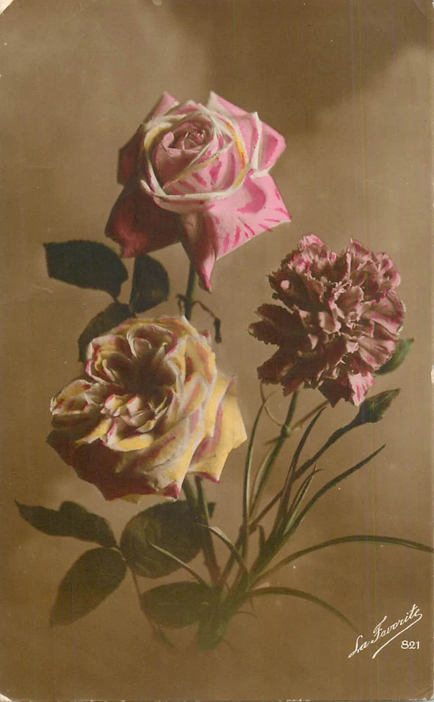 Postcard flowers La Favorite roses carnations Carnation