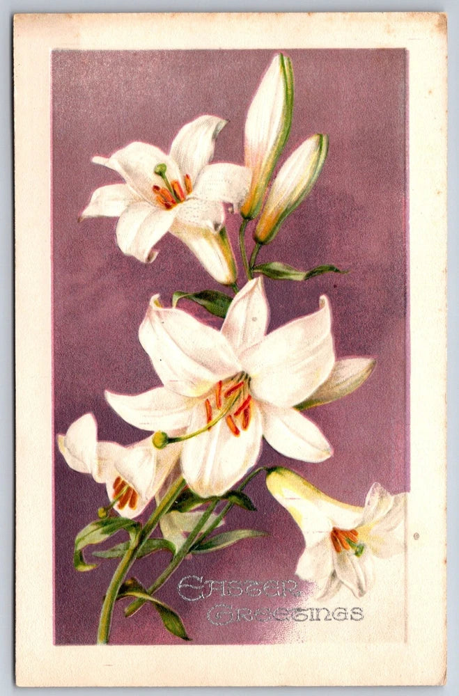 Easter Greetings~Lily Flowers On Purple Background~Emb~Vintage Winsch Postcard Lily