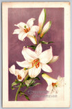 Easter Greetings~Lily Flowers On Purple Background~Emb~Vintage Winsch Postcard Lily