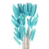 60pcs Natural Bunny Tails Dried Flowers 24" Mini Pampas Grass, Turquoise Blue Pampas Grass