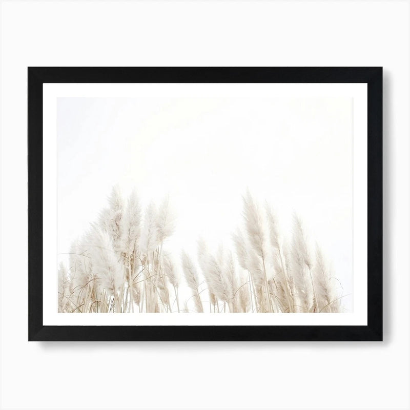 Pampas Grass In Wind Art Print Framed Wall Art Poster Canvas Print Picture Pampas Grass
