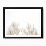 Pampas Grass In Wind Art Print Framed Wall Art Poster Canvas Print Picture Pampas Grass