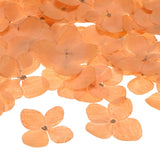 12-Pack Dried Pressed Flowers for Resin, Real Natural Bulk Dry Floral [Orange] Dried Flower
