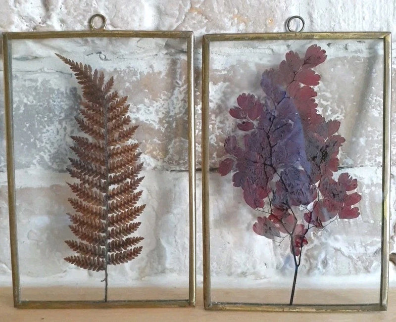 Brass frame glass hanging decor with pressed fern and flower silhouettes, two pieces