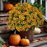 Outdoor Artificial Plants UV Resistant Faux Greenery Privacy Decor 16 Bundles US Green Plant