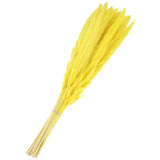 30Pcs Pampas Grass,17" Fake Pampas Grass for Wedding Decoration,Yellow Pampas Grass