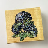 Small Hydrangea Bloom~Flower~Spring~Botanical~2.25"X2.25"~Rubber Stampede A2171E Hydrangea