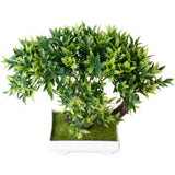 Green Coral Grass Potted Plant for Modern For Home Office Interior Decor Green Plant