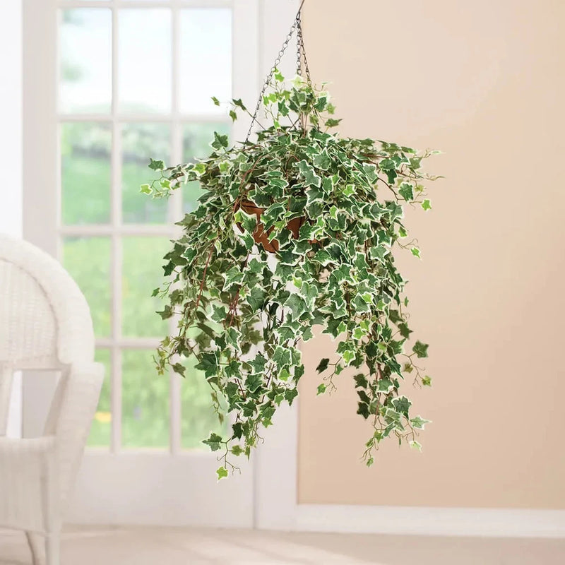 Large Fully Assembled Artificial Holland Variegated Ivy In/Out Hanging Basket Green Plant