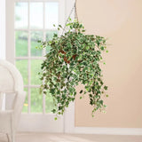 Large Fully Assembled Artificial Holland Variegated Ivy In/Out Hanging Basket Green Plant