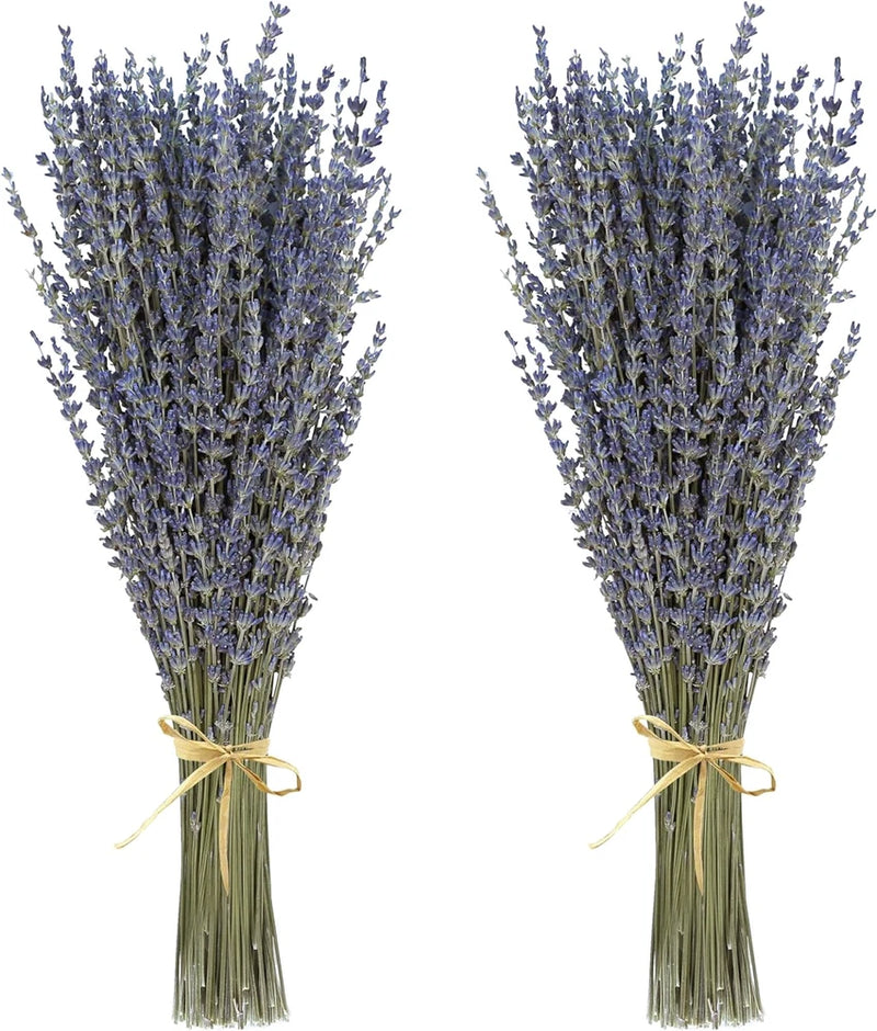 Dried lavender bundles, purple flower stems tied with twine