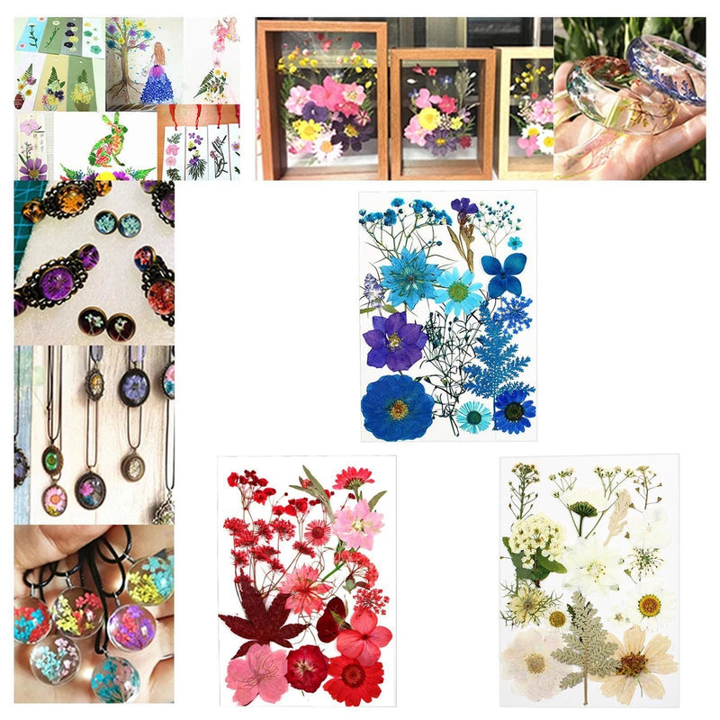 Assorted dried pressed flowers, blue and purple for resin jewelry and crafts