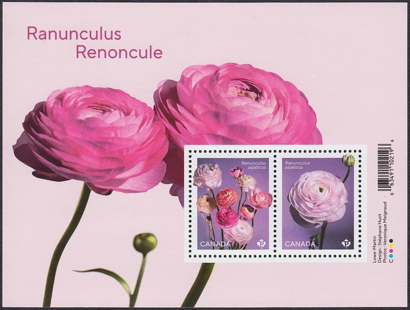 RANUNCULUS or PERSIAN BUTTERCUP flowers * Souvenir Sheet MNH Canada 2023 Ranunculus