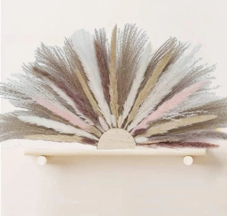 Natural Pampas Grass Boho Wall Fan-Shape Dried Real Shelf Table Cute Home Wood Pampas Grass