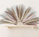 Natural Pampas Grass Boho Wall Fan-Shape Dried Real Shelf Table Cute Home Wood Pampas Grass