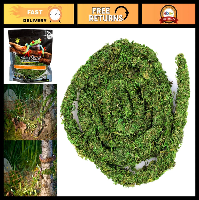 Real Moss Vine 12FT - Natural Green Decorative Plant, Perfect for Aquariums & Cr Green Plant