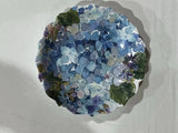 Nicole Miller Home Hydrangea Floral Melamine Salad Plate 9Ó Blue Flowers Decor Hydrangea