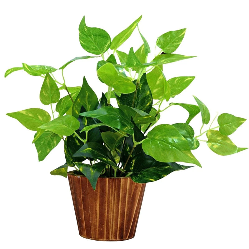 Fancymart Artificial Money Plants Green Leaves With Wooden Pot Green Plant