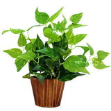 Fancymart Artificial Money Plants Green Leaves With Wooden Pot Green Plant
