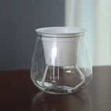 Transparent Plant Pot for Green Gardening Projects and Balcony Planting Garden Plants