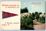 Los Angeles California CA Postcard Pampas Grass With Plumes 1913 Vintage Pennant Pampas Grass