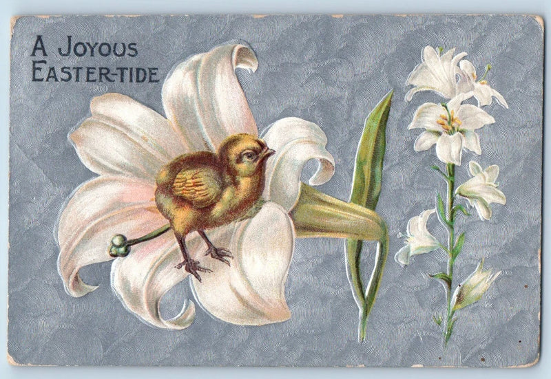 Easter Postcard Baby Chick Lily Flowers Embossed Florence Nebraska NE 1909 Lily
