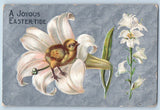 Easter Postcard Baby Chick Lily Flowers Embossed Florence Nebraska NE 1909 Lily