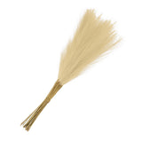 15Pcs Pampas Grass,21" Fake Pampas Grass for Wedding Decoration,Beige Pampas Grass