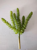 Donkey tail Succulent. Silk Flower Floral Arrangements Green Plant